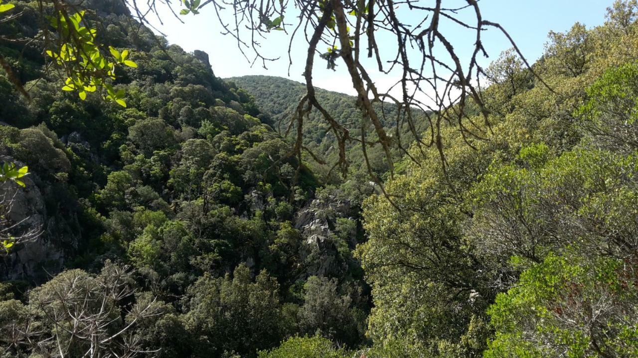 Casa Vacanze Paola 2 Capitana Buitenkant foto